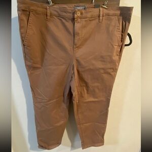 NWT Torrid‎ brown straight pants size 22